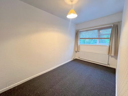 28 Benson Street, Lisburn, BT28 2BG - Photo 4