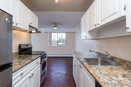 Skyview Apartments - 1 Bedroom - Photo 3
