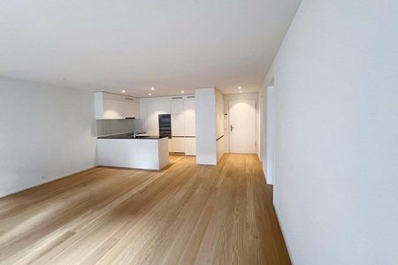 New, modern 2.5-room apartment, 6410 Goldau First rental - Photo 4