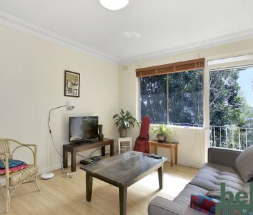 Peaceful Apartment in Leafy Locale - Photo 3