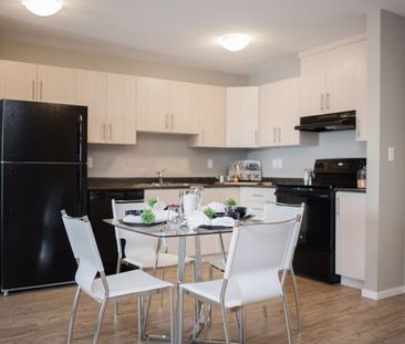 One Bedroom One Bath - Photo 4