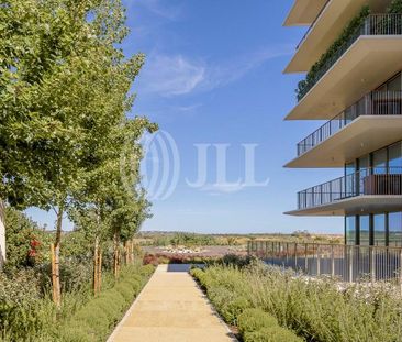 Apartamento T3 em Faro - Photo 5