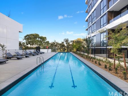 Amenity rich living in the heart of Gungahlin - Photo 2