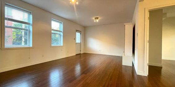 Pointe-St-Charles - Nice 3 1/2 Available - Photo 3