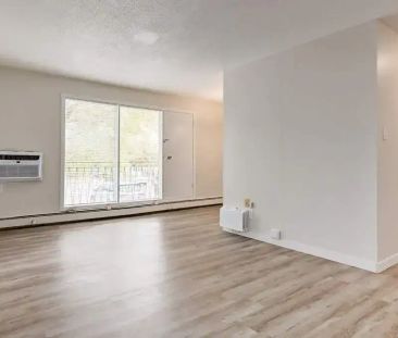 1 Bedroom - Photo 3
