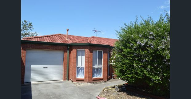 All Rhodes Lead To Home - Photo 1