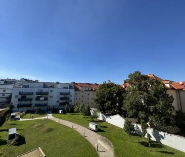 Gartenwohnung in Hofruhelage - Nahe Siemensstraße & Brünner Straße - Foto 4