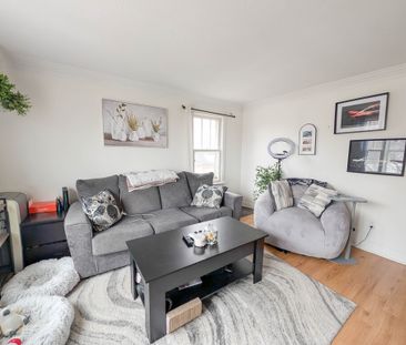 44 Rodman St, St. Catharines - All Inclusive 1 Bedroom Unit - Photo 1