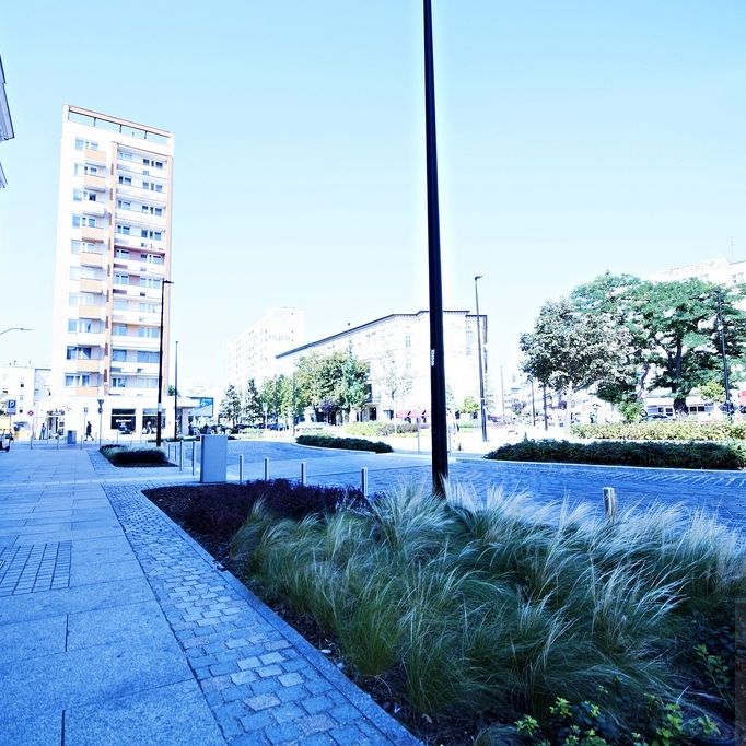 2-pokojowe mieszkanie w samym centrum Szczecina (437186) - Photo 1