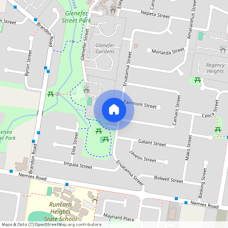 61 Ervatamia Street, Qld 4113, Runcorn