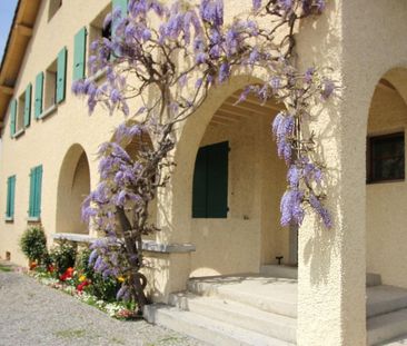 5 Zimmer, 169 m² - Foto 4