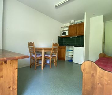 Location Appartement 1 pièce Meublé 17m² LE BOURGET DU LAC 73370 - Photo 1