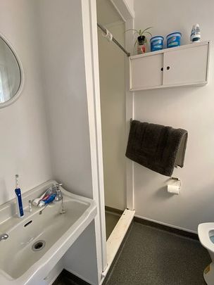 Super large 4 bedroom house in Mt Vic - Photo 1