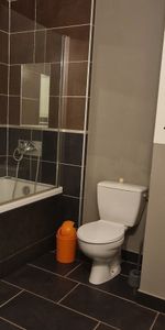 Location Appartement 1 pièce 30m² ESCASSEFORT 47350 - Photo 4