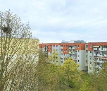 Zweiraumwohnung mit EBK - Foto 2