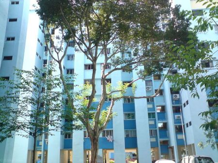 Blk 250 Tampines Street 21 (Tampines), HDB 4 Rooms - For Rent - Photo 5