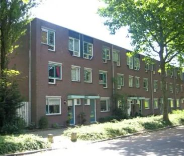 Maison familiale Velddreef 306, Zoetermeer Seghwaert - À louer - Foto 2