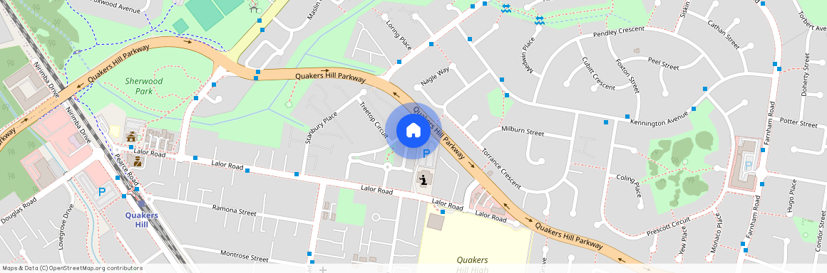 21 Tree Top Circuit, Quakers Hill NSW 2763