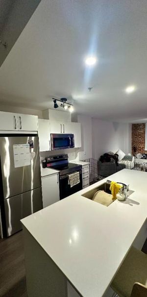 ONE MONTH RENT FREE DOWNTOWN LOFT MONTREAL - Photo 1