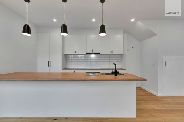 125A Mitchell Street, Brunswick VIC 3056 - Townhouse For Rent | Domain - Photo 1