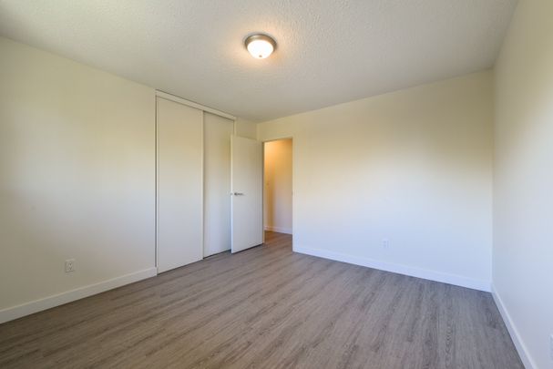 Warwick Apartments - Photo 1