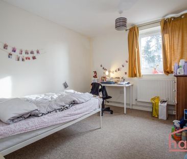 3 bedroom flat share to rent - Photo 6
