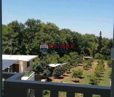 Διαμέρισμα για ενοικίαση Περιβόλια (Θέρισος) - Φωτογραφία 5