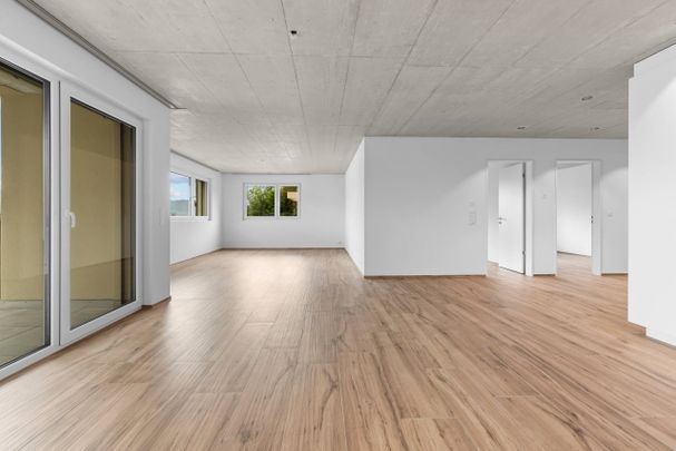 First-time rental: Large areas, living with plenty of space - Photo 1