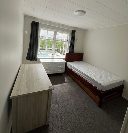 Charming 4BR Karori Haven – Solar & Garden! - Photo 4