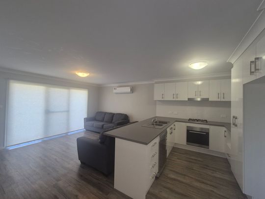 Beautiful Basil - Photo 1