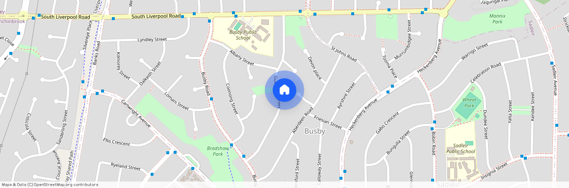 24a Guernsey St, NSW 2168, Busby