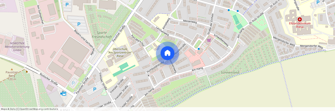 Humboldtstraße 6, 01589 Riesa, Delle