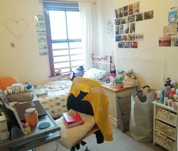 Orme Road, Bangor, Gwynedd, LL57 - Photo 5