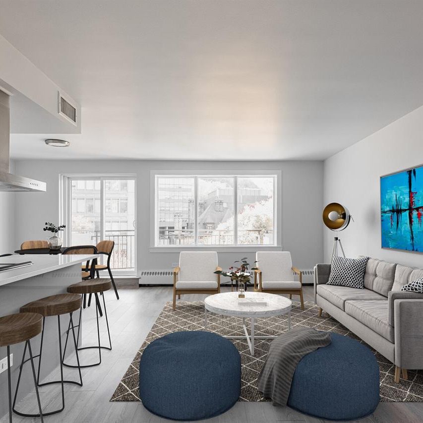 Large One Bedroom - 1100 Ave Dr. Penfield, Montréal - Photo 2