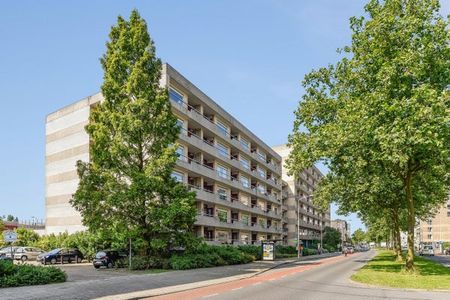 Te huur: Appartement Rosenburch 82 in Leiden - Foto 3