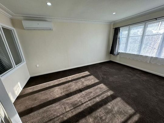 Spacious, convenient, new with lawns - Photo 1