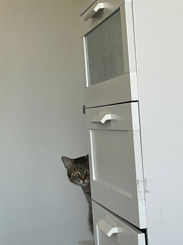 Alexandria - Photo 5