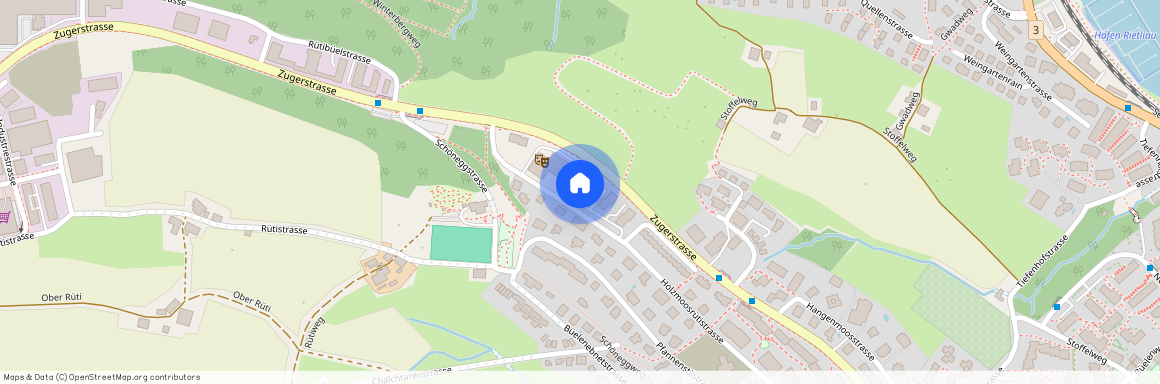 Holzmoosrütistrasse 46 a, 8820 Wädenswil