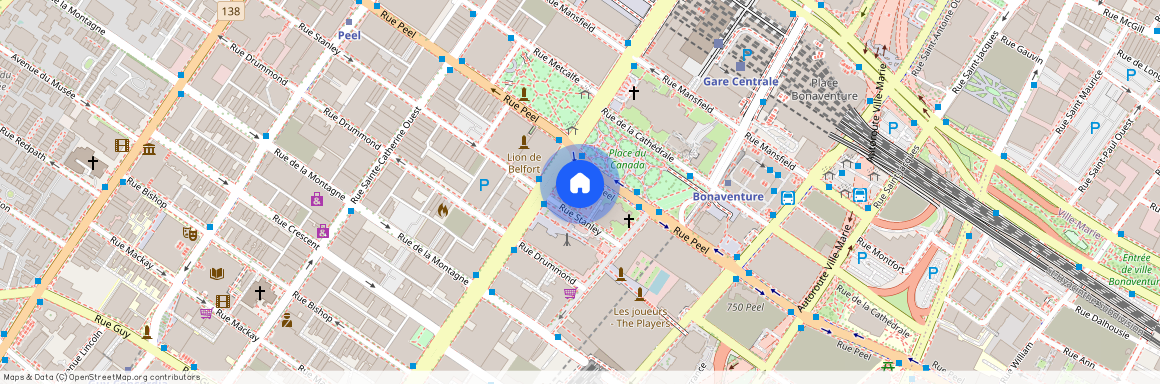 1100, Av. du Docteur-Penfield, apt. 506, Montréal (Ville-Marie)