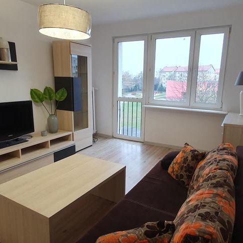 Umeblowana kawalerka na wynajem Nowogard - Zdjęcie 1