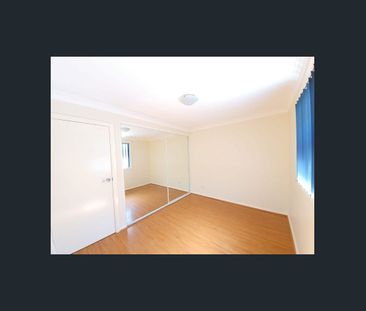 Great Size! - Photo 2