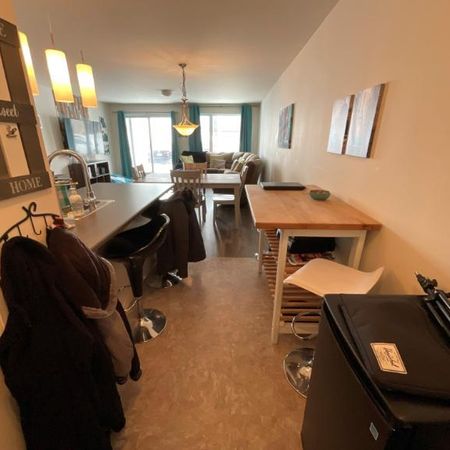 2 CH - 1 SDB - Lévis - $1,250 /mo - Photo 4