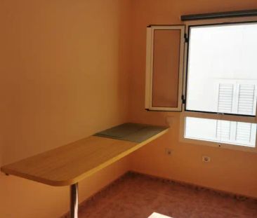 Ingenio - Foto 3