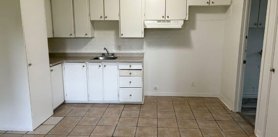 Beau 3 1/2 - Photo 2