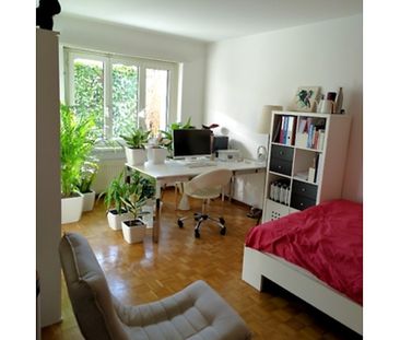 1½ Zimmer-Wohnung in Zürich - Kreis 7 Witikon, möbliert, auf Zeit - Foto 4