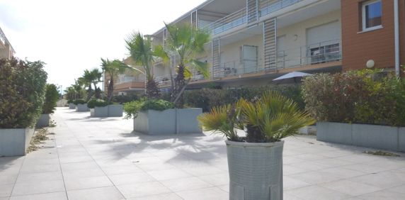 Location Appartement 2 pièces 40m² CANET EN ROUSSILLON 66140 - Photo 2