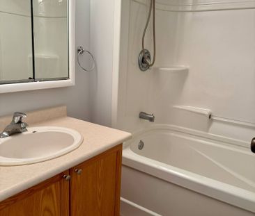 For Lease - 52 Walter Street, Kitchener, Ontario - Photo 6