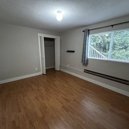 Large two-bedroom suite in house - Photo 4