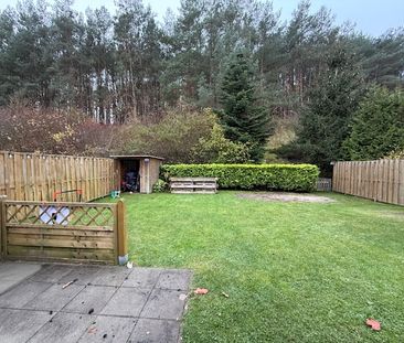 Charmante Doppelhaushälfte in Consrade zur Miete - Photo 3