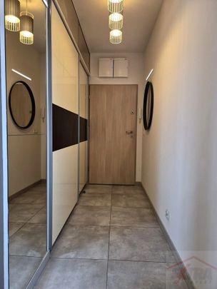 MIESZKANIE na WYNAJEM SZCZECIN (438517) - Photo 1